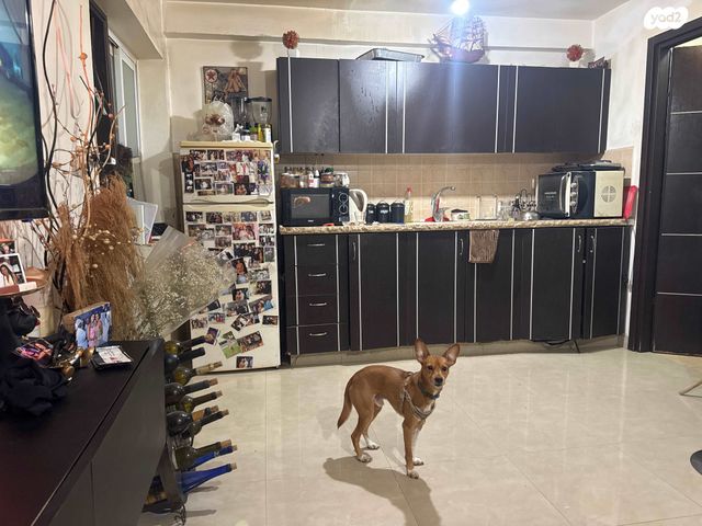 דירה, חוזה סן מרטין 1, קטמונים, ירושלים