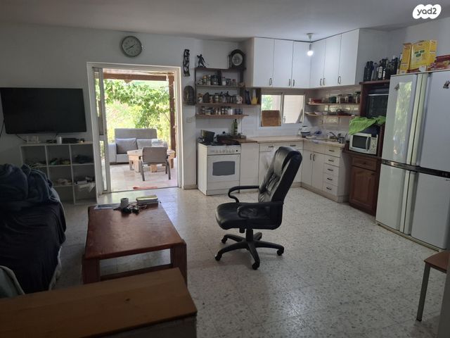 פריחת השקד 82