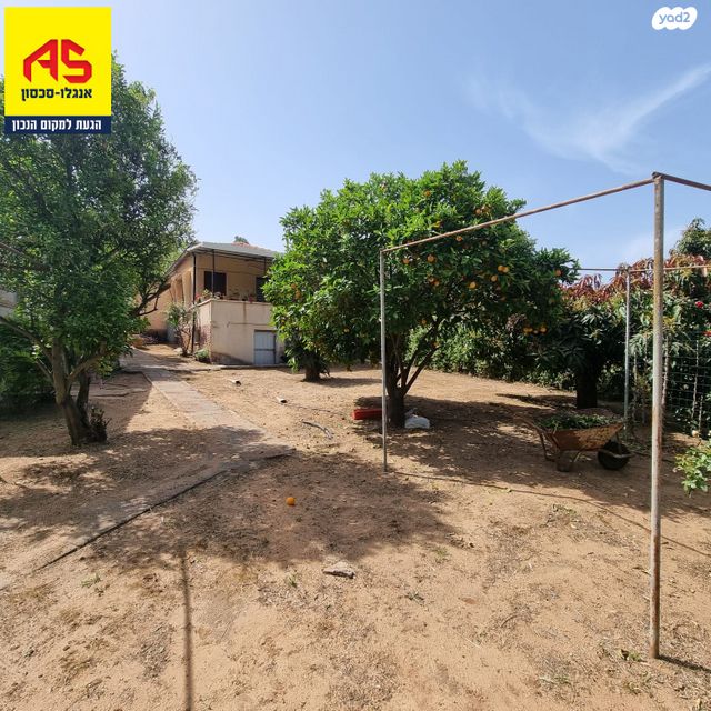 שמעון דובנוב 