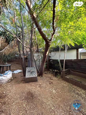 דירה, הבנים, מרכז מזרחי, נס ציונה