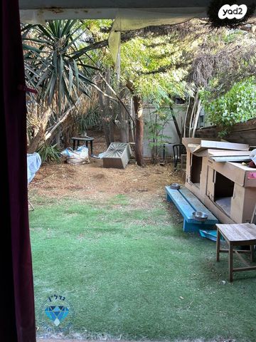 דירה, הבנים, מרכז מזרחי, נס ציונה