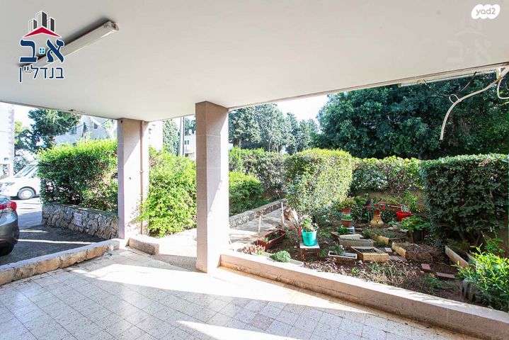 דירה, הגליל, נווה שאנן, חיפה