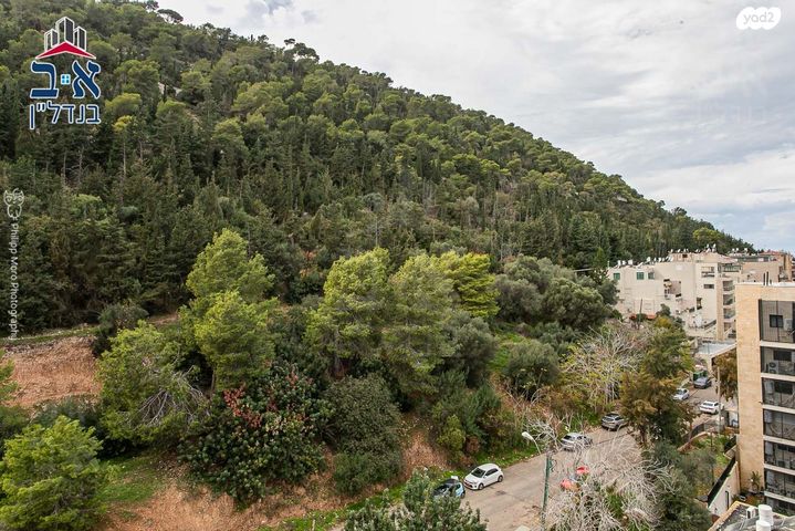 דירה, דרך אלנבי, קרית אליעזר, חיפה