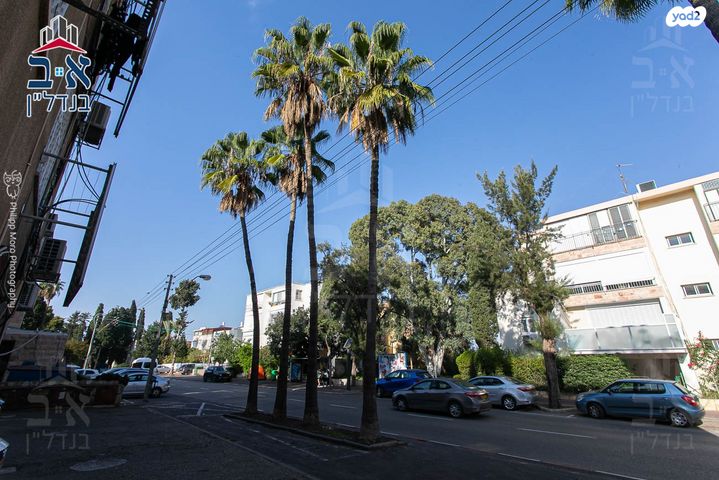 דירה, הגליל, נווה שאנן, חיפה