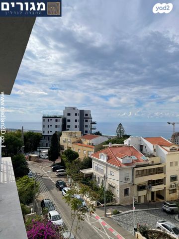 דירה, ויתקין, אחוזה, חיפה