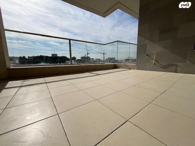 נווה דוד רמז