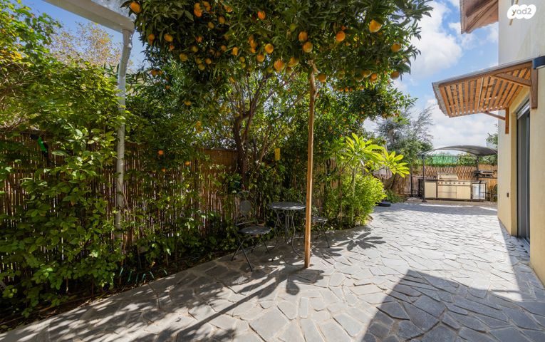 שלמה בן יוסף 