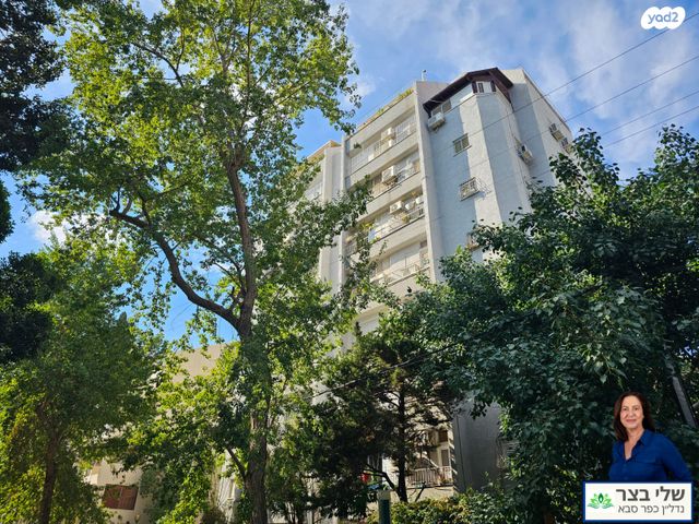 דירה, הכלנית, הפרחים, כפר סבא