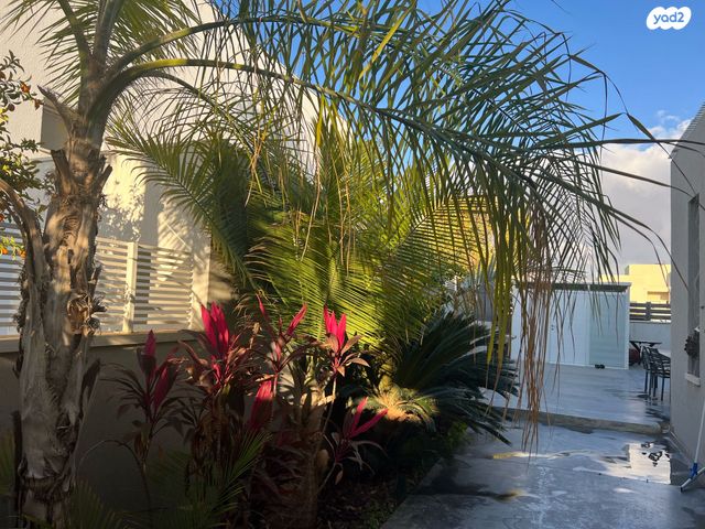 בית פרטי/ קוטג', שאר העיר, עומר