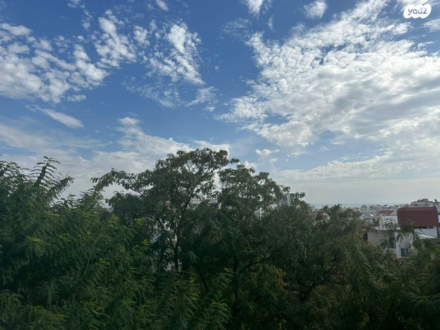 דירה, השחר, שיכוני מזרחי, כפר סבא