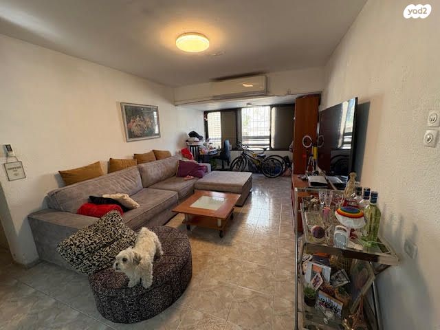 דרך משה דיין 