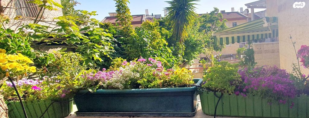 בית פרטי/ קוטג', ירושלים