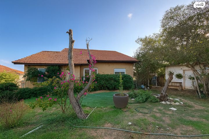 מגרשים, הנשיא 13, המושבה, זכרון יעקב