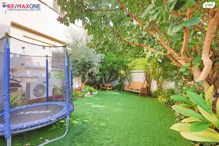 דירת גן, הנגב, כפר סבא