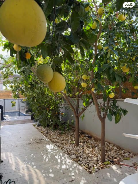 בית פרטי/ קוטג', יונה, גבעת אוויה, יהוד מונוסון