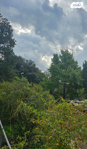 טבעון הוותיקה