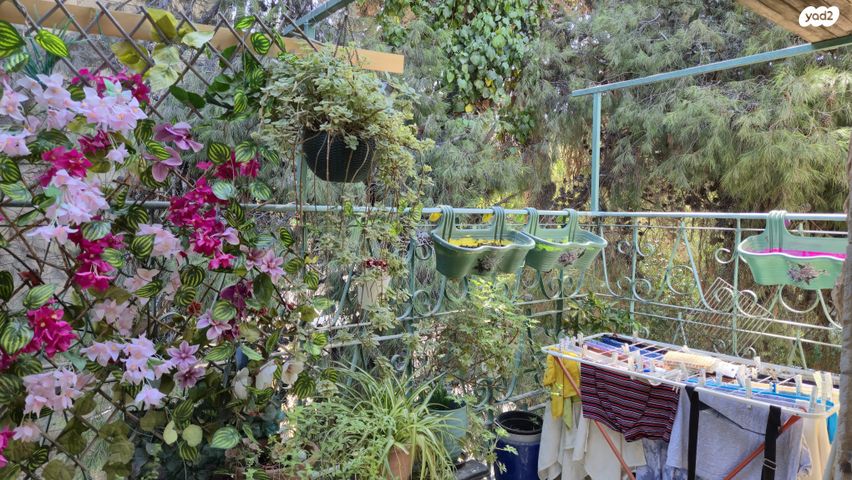 דירה, רמות רחל , ארנונה החדשה, ירושלים