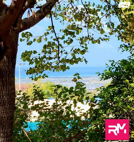 דירה, השמורה, זכרון יעקב