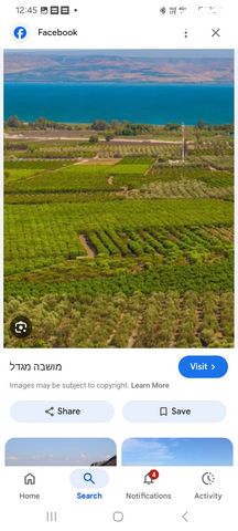 מגרשים, מגדל