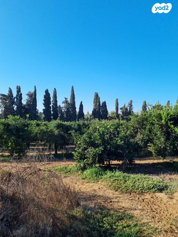משק חקלאי/ נחלה, בני ציון