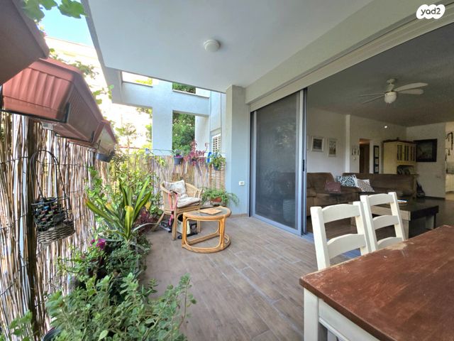 דירה, הכרמל, מרכז, כפר סבא