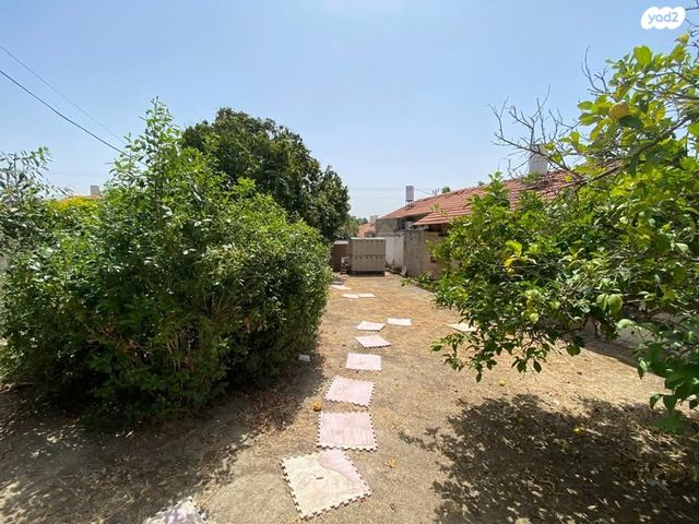 מגרשים, ישראל ישעיהו 1, כפר סבא