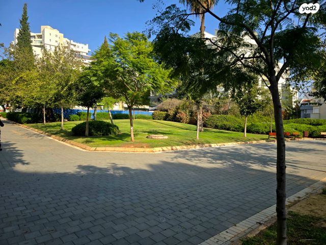 דירה, הכרמל, מרכז, כפר סבא