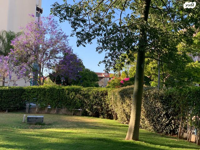 דירה, ד"ר הרמן מאאס, היובל, שרונה, רחובות