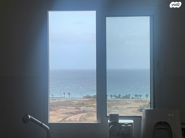 עיר ימים / הבלוט