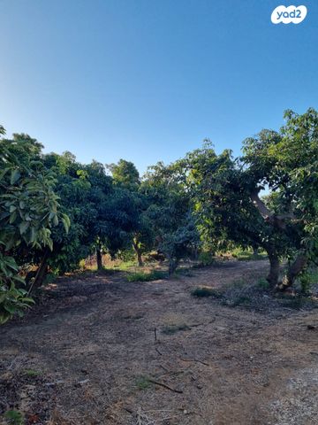 משק חקלאי/ נחלה, בני ציון