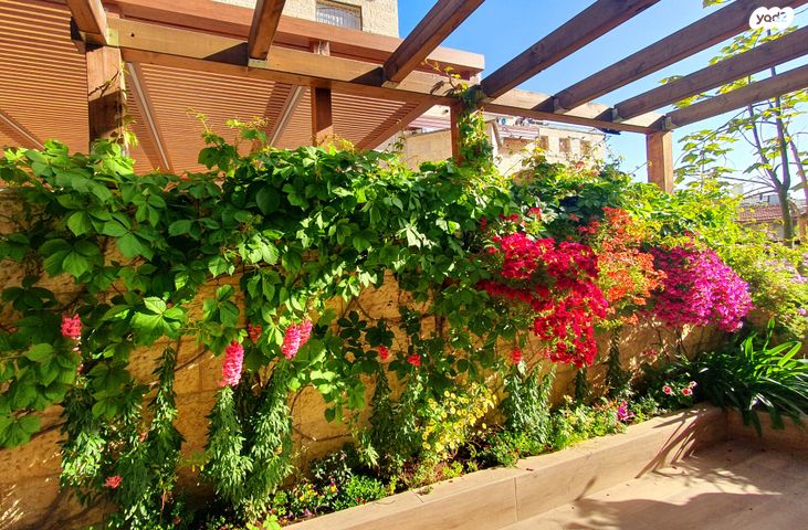 בית פרטי/ קוטג', ירושלים