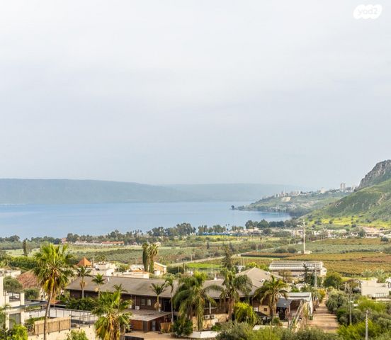 מגרשים, מגדל