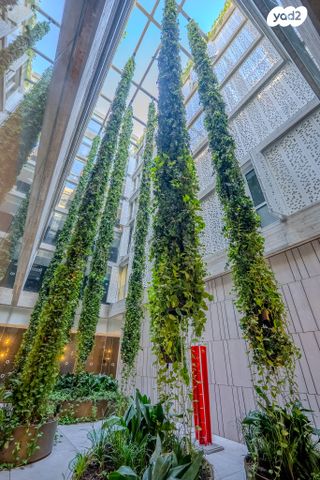 דירה, אחד העם 13, לב תל אביב, לב העיר צפון, תל אביב יפו