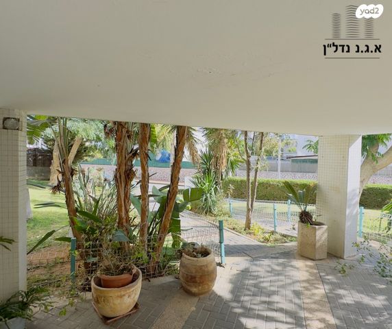 דירה, אשדוד