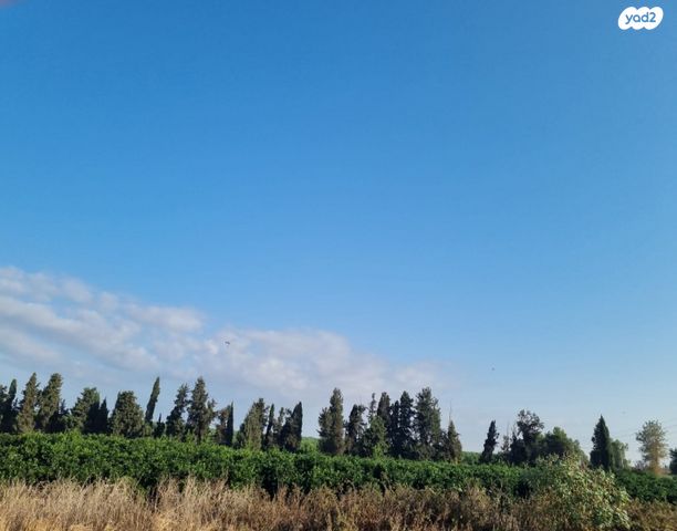 משק חקלאי/ נחלה, בני ציון