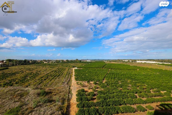 דירה, חנה רובינא, יפה נוף, כפר יונה