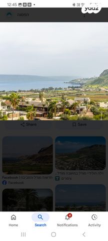 מגרשים, מגדל