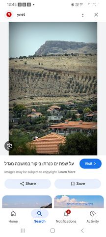 מגרשים, מגדל