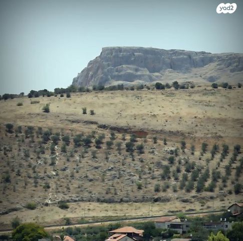 מגרשים, מגדל