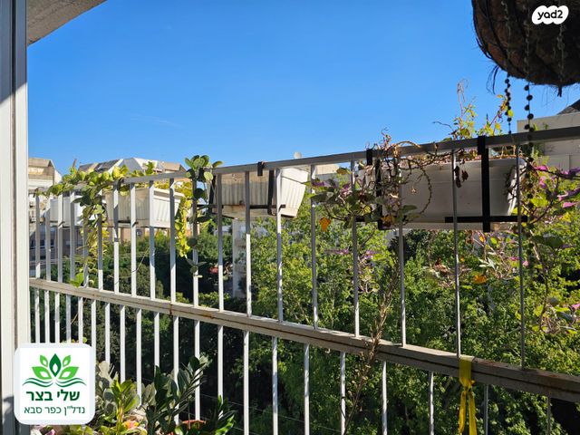 דירה, הכלנית, הפרחים, כפר סבא