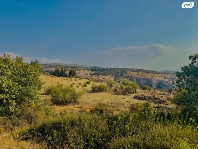 דו משפחתי, חוקוק