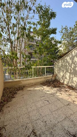 אריה בן אליעזר 