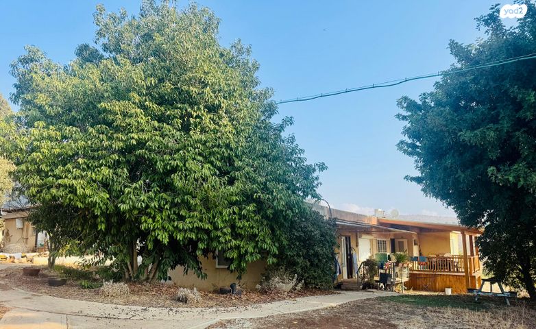 דו משפחתי, חוקוק