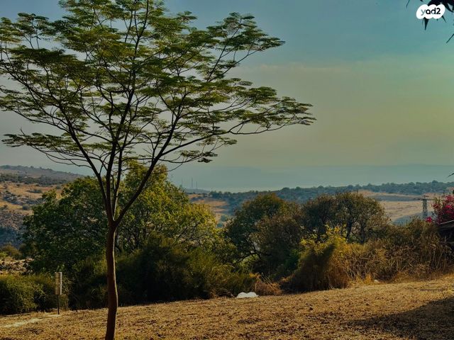 דו משפחתי, חוקוק