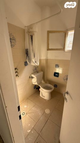 דופלקס, אריה בן אליעזר, רמז, מערב ותיק, ראשון לציון