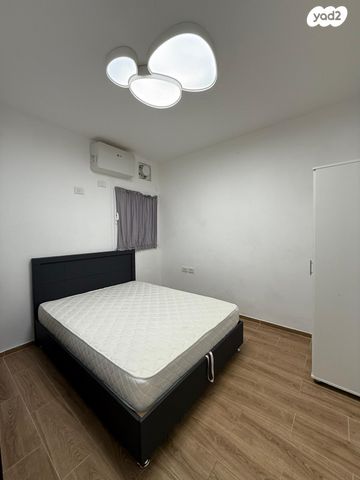 דירה, החרוב, שאר העיר, טירת כרמל