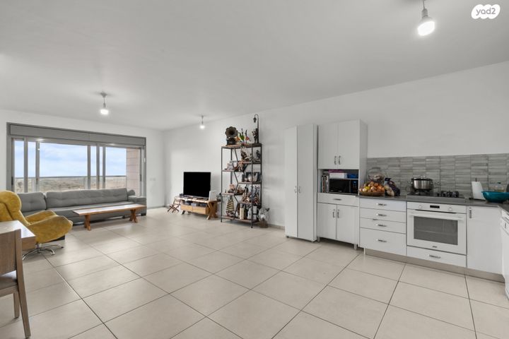 דירה, יגאל ידין, המגינים, מודיעין מכבים רעות