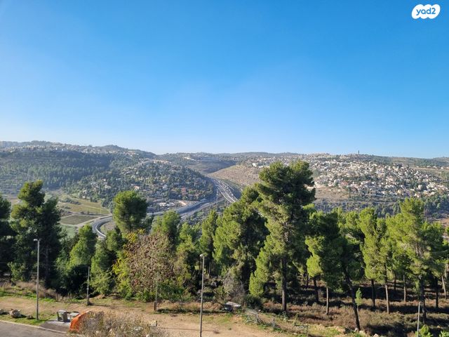 האדמו"ר מרוז'ין 