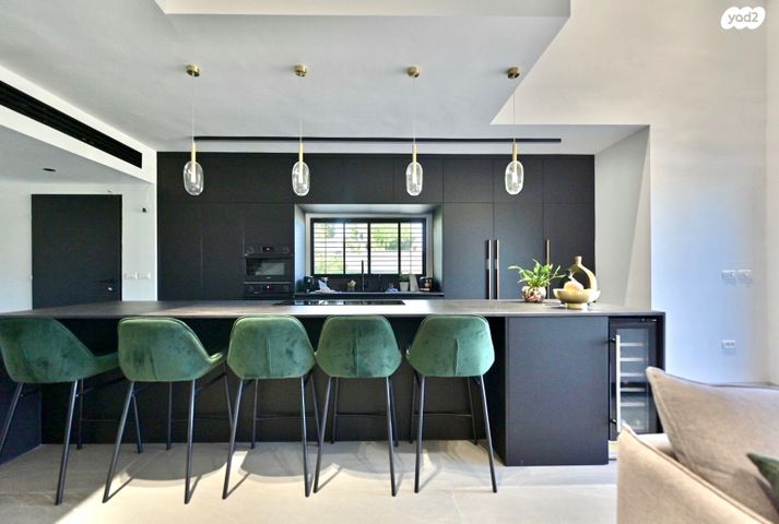 דו משפחתי, גני איריס, נס ציונה