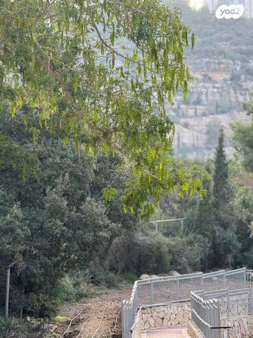 דירה, יזרעאליה, חיפה